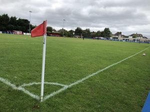 hollands & Blair star meadow