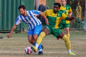 holmesdale metrogas michael brownlee